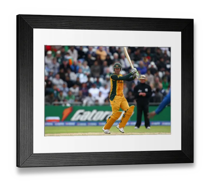 Framed Print : Ricky Ponting Framed Print : Ricky Ponting