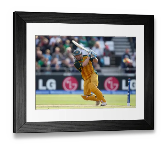 Framed Print : David Hussey Framed Print : David Hussey