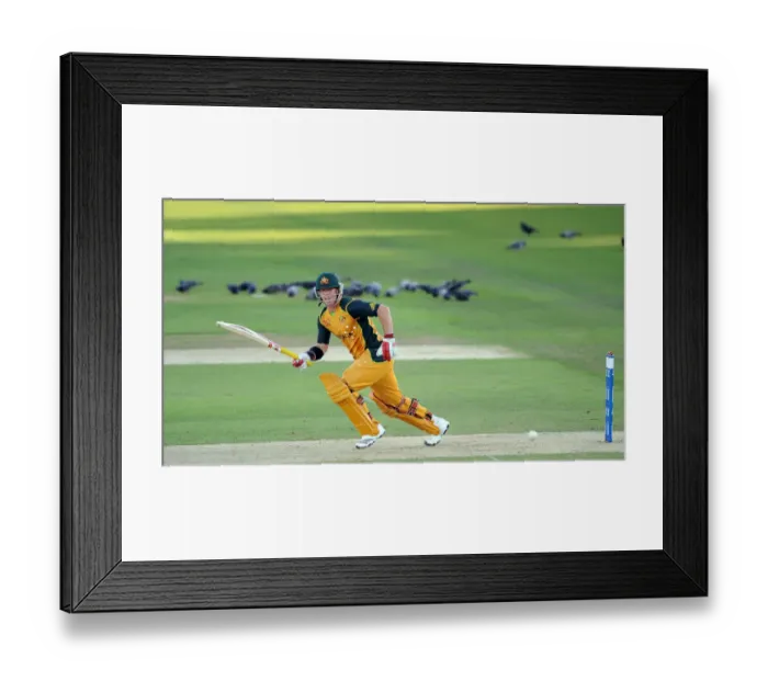 Framed Print : David Warner Framed Print : David Warner
