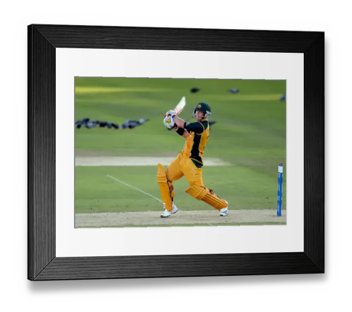 Framed Print : David Warner Framed Print : David Warner