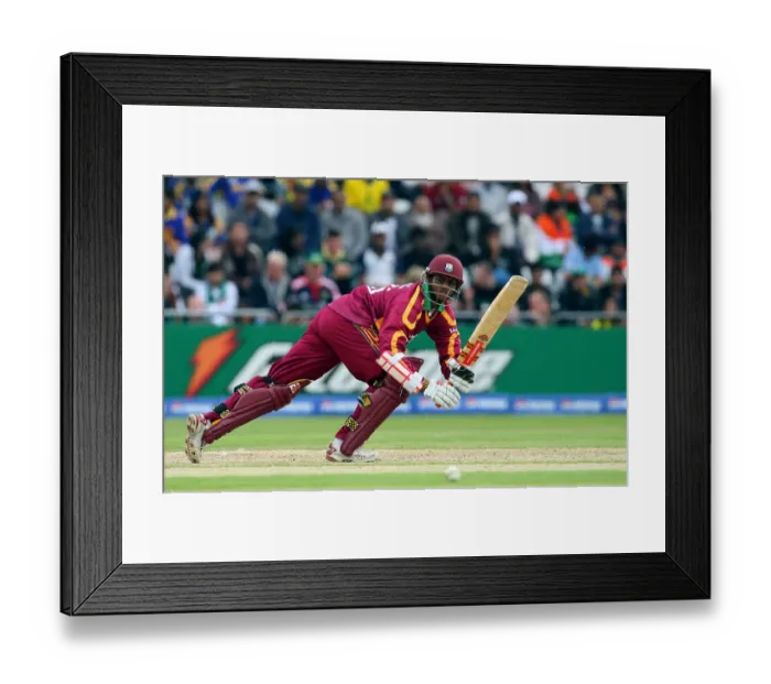 Framed Print : Shivnarine Chanderpaul Framed Print : Shivnarine Chanderpaul