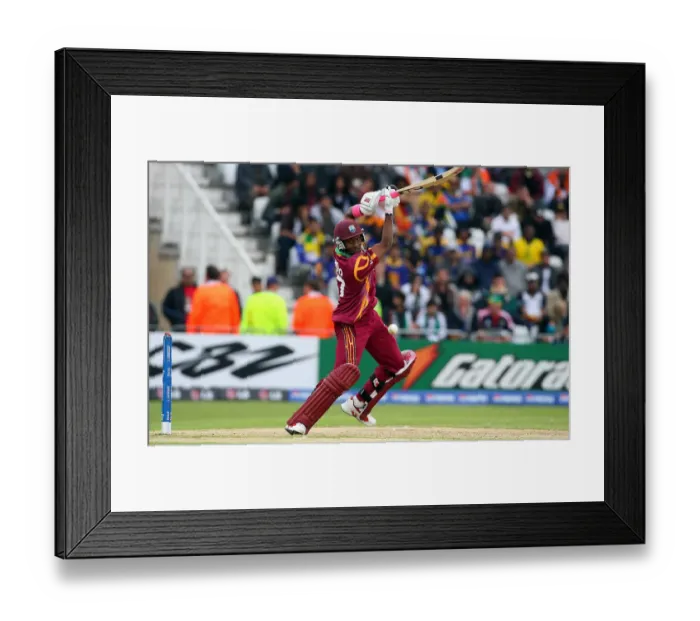 Framed Print : Dwayne Bravo Framed Print : Dwayne Bravo