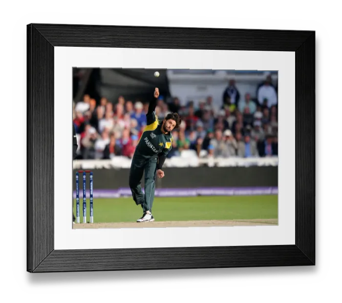 Framed Print : Shahid Afaridi Framed Print : Shahid Afaridi