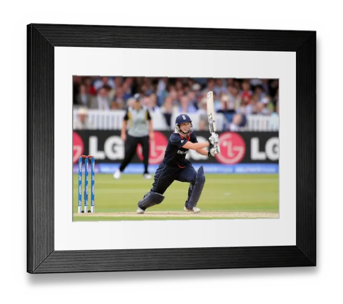 Framed Print : Claire Taylor Framed Print : Claire Taylor