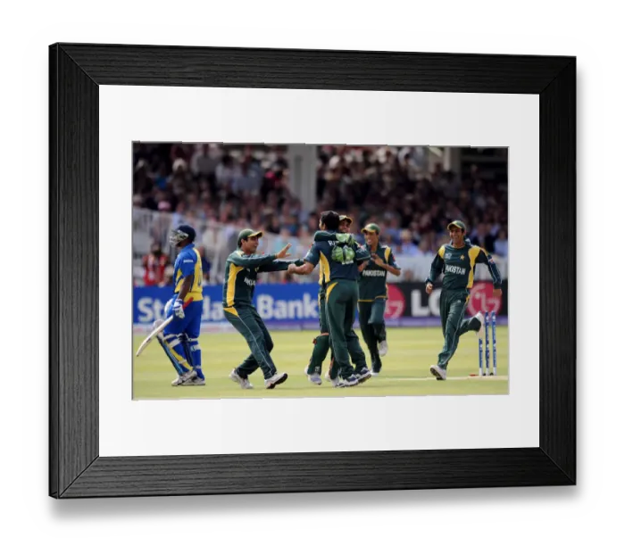 Framed Print : Abdul Razzaq Celebrates Wicket Framed Print : Abdul Razzaq Celebrates Wicket