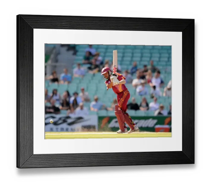Framed Print : Ramnaresh Sarwan Framed Print : Ramnaresh Sarwan