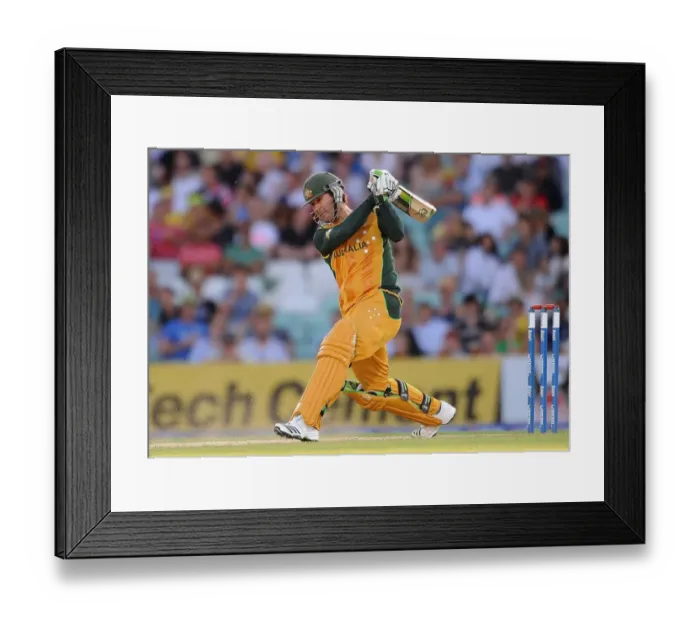 Framed Print : Ricky Ponting Framed Print : Ricky Ponting