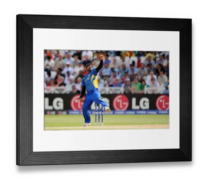 Framed Print : Muttiah Muralidaran Framed Print : Muttiah Muralidaran