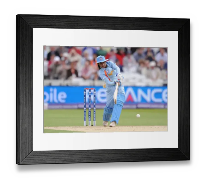Framed Print : Rumeli Dhar Framed Print : Rumeli Dhar