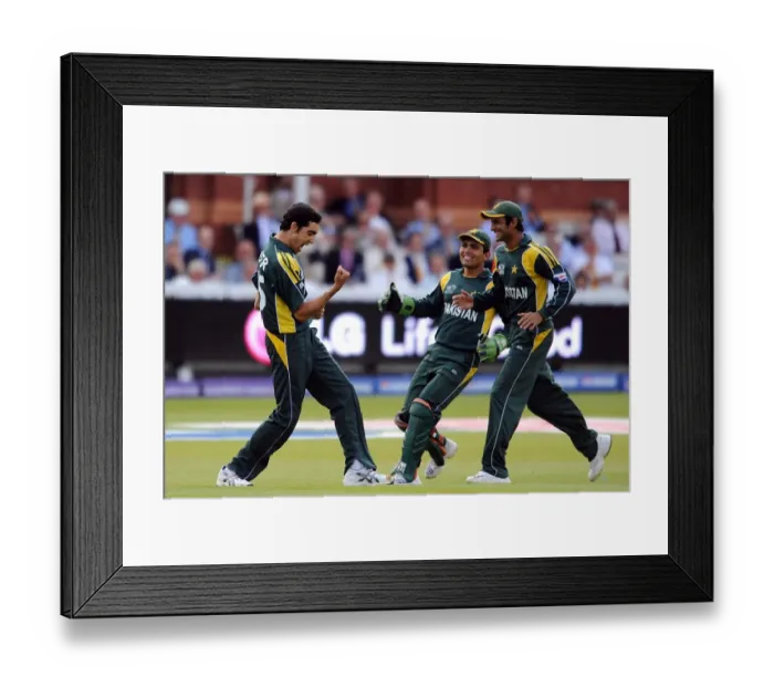Framed Print : Umar Gul Celebrates Wicket
