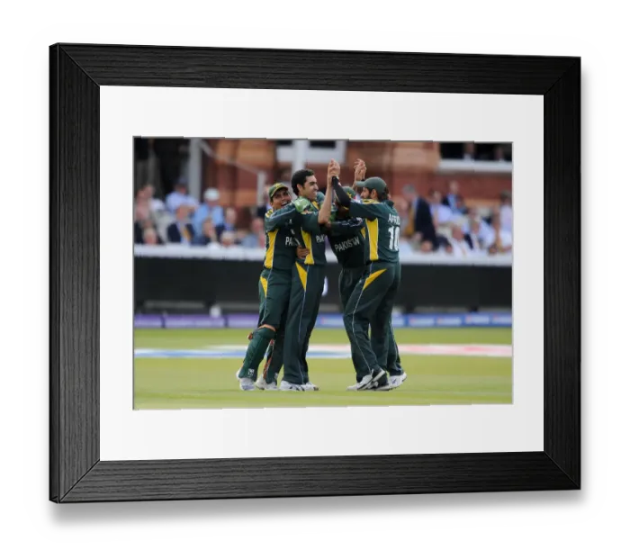 Framed Print : Umar Gul Celebrates Wicket With Shahid Afaridi Framed Print : Umar Gul Celebrates Wicket With Shahid Afaridi