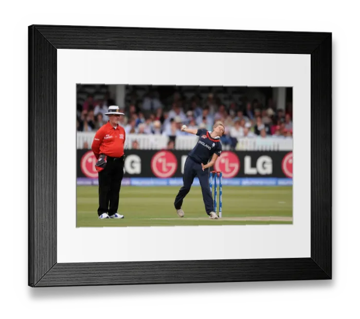 Framed Print : Laura Marsh Framed Print : Laura Marsh