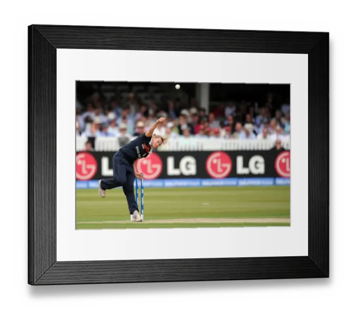 Framed Print : Laura Marsh Framed Print : Laura Marsh