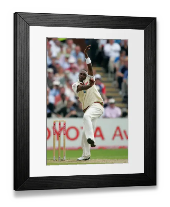 Framed Print : Dwayne Bravo Framed Print : Dwayne Bravo