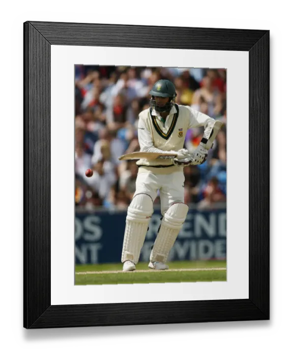 Framed Print : Hashim Amla Framed Print : Hashim Amla