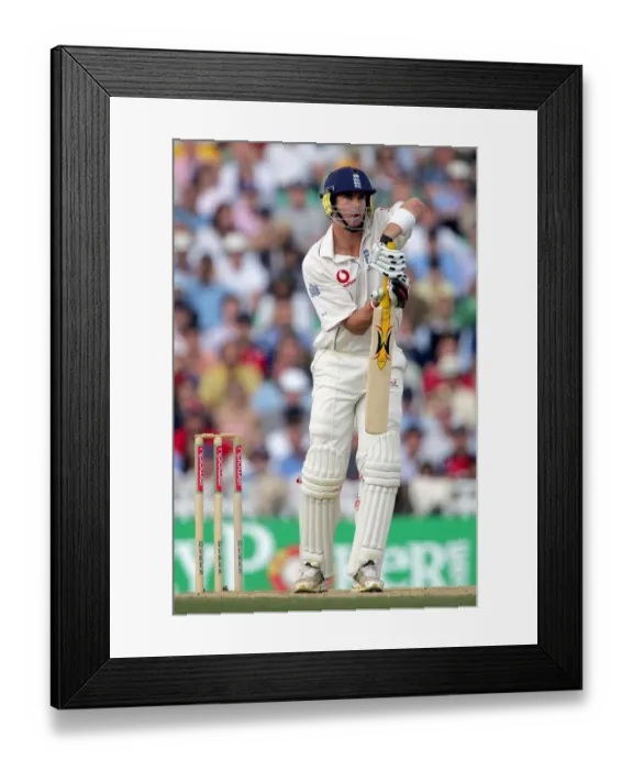 Framed Print : Kevin Pietersen Framed Print : Kevin Pietersen