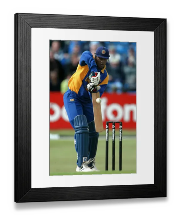 Framed Print : Avishka Gunawardene Framed Print : Avishka Gunawardene