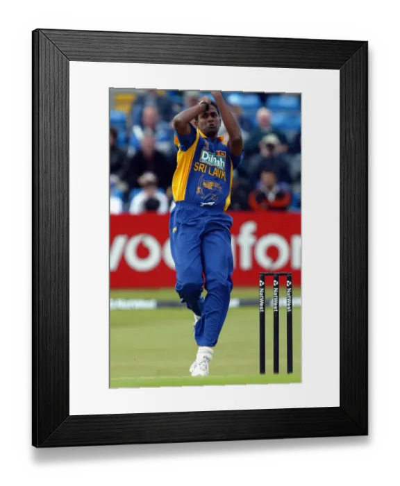 Framed Print : Nuwan Zoysa Framed Print : Nuwan Zoysa