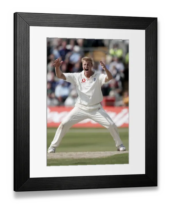 Framed Print : Andrew Flintoff
