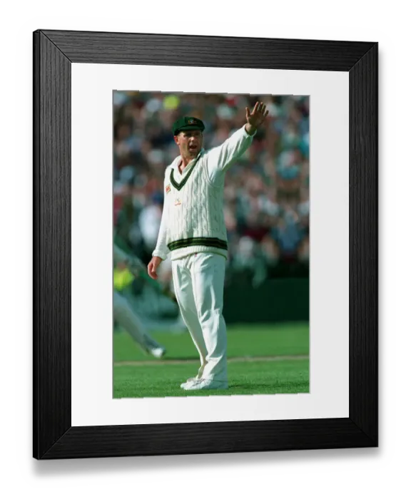 Framed Print : Mark Taylor Framed Print : Mark Taylor