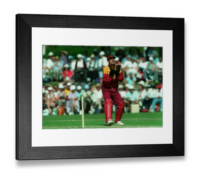 Framed Print : David Ripley Framed Print : David Ripley