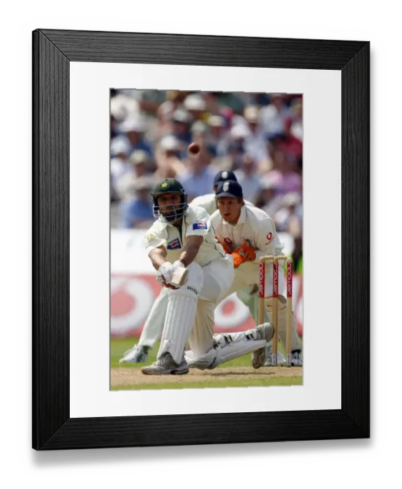 Framed Print : Shahid Afridi Framed Print : Shahid Afridi