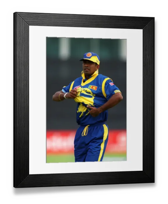 Framed Print : Pramodya Wickramasinghe Framed Print : Pramodya Wickramasinghe