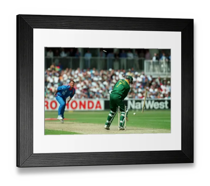 Framed Print : Gough Bowls Pollock Framed Print : Gough Bowls Pollock