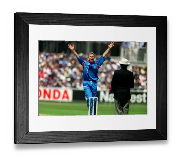 Framed Print : Mullally Appeals For Wicket Framed Print : Mullally Appeals For Wicket