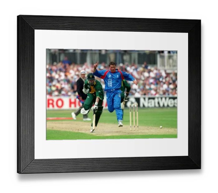 Framed Print : Gough Tries Klusener Run Out Framed Print : Gough Tries Klusener Run Out