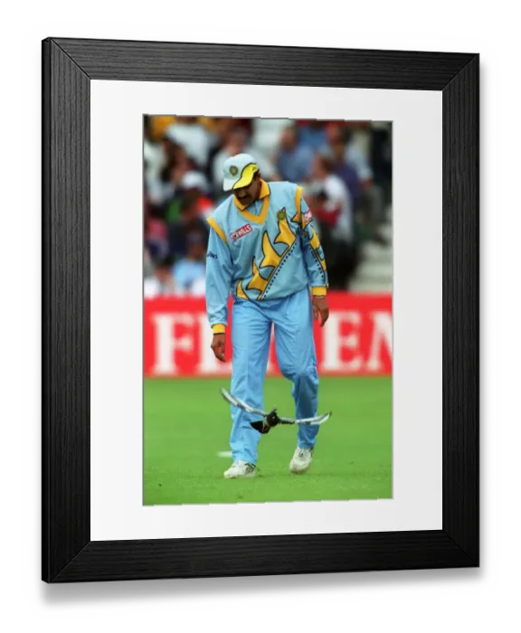 Framed Print : Kumble Disturbs A Pigeon Framed Print : Kumble Disturbs A Pigeon