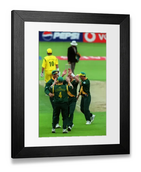 Framed Print : South Africa Celebrate Wicket Framed Print : South Africa Celebrate Wicket