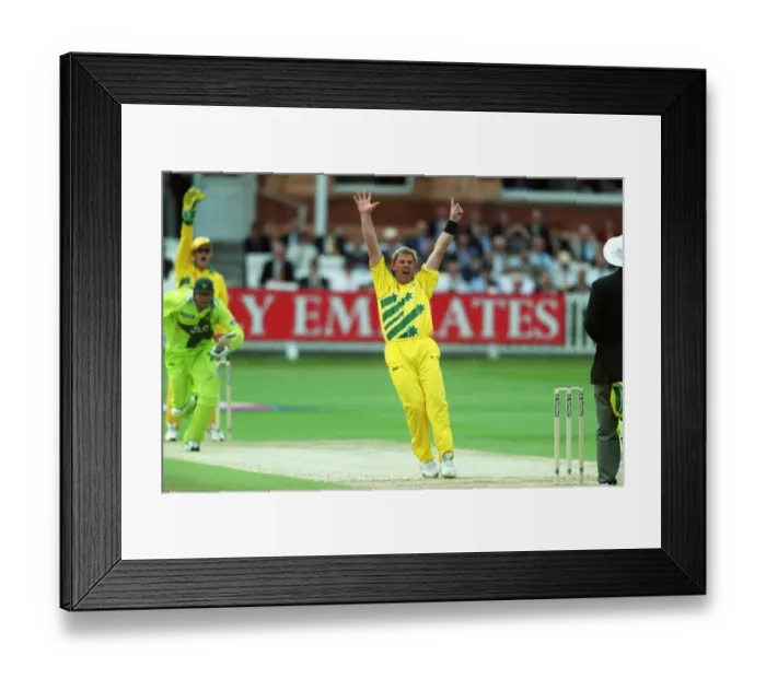 Framed Print : Shane Warne Appeals For Alfridi Wkt Framed Print : Shane Warne Appeals For Alfridi Wkt