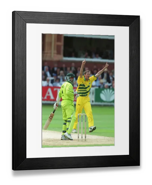 Framed Print : Mcgrath Claims Saqlain Wkt Framed Print : Mcgrath Claims Saqlain Wkt