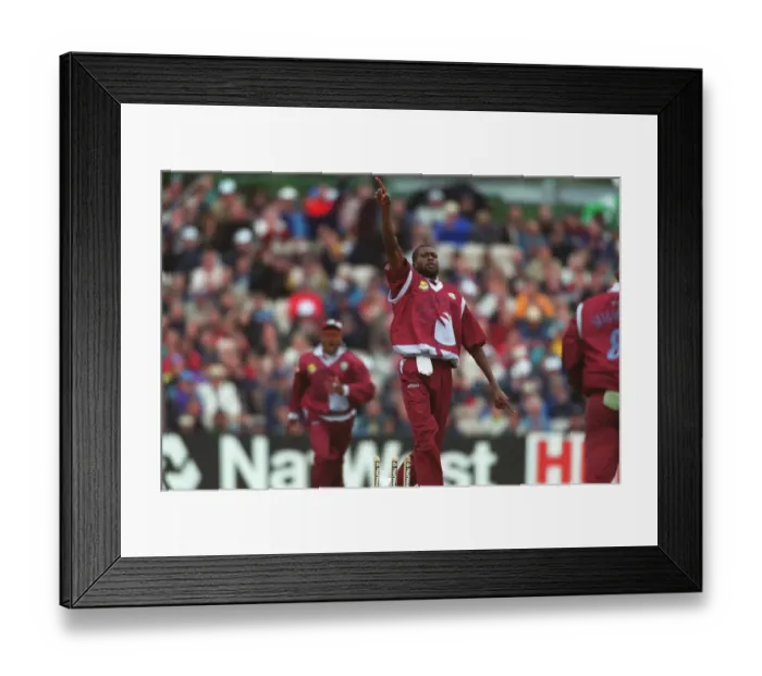Framed Print : Ambrose Celebrates Wicket Framed Print : Ambrose Celebrates Wicket