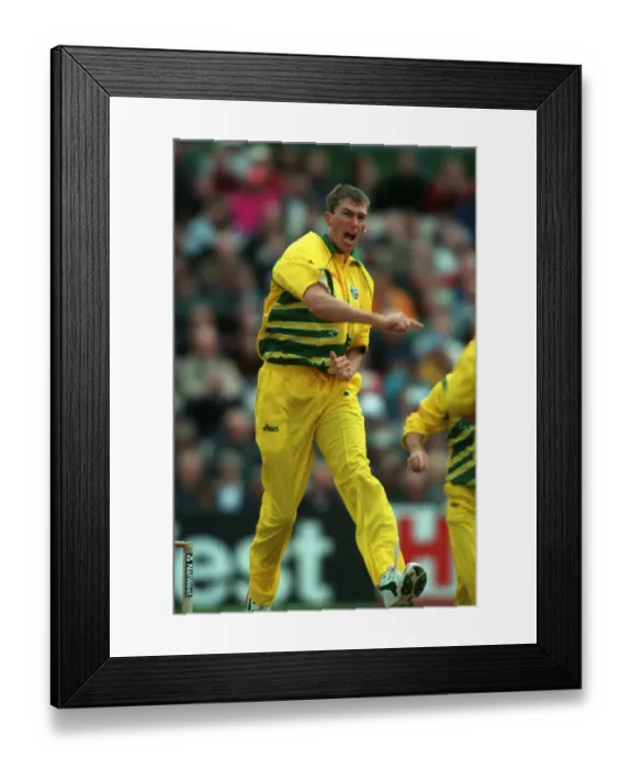Framed Print : Mcgrath Celebrates Lara Wicket Framed Print : Mcgrath Celebrates Lara Wicket