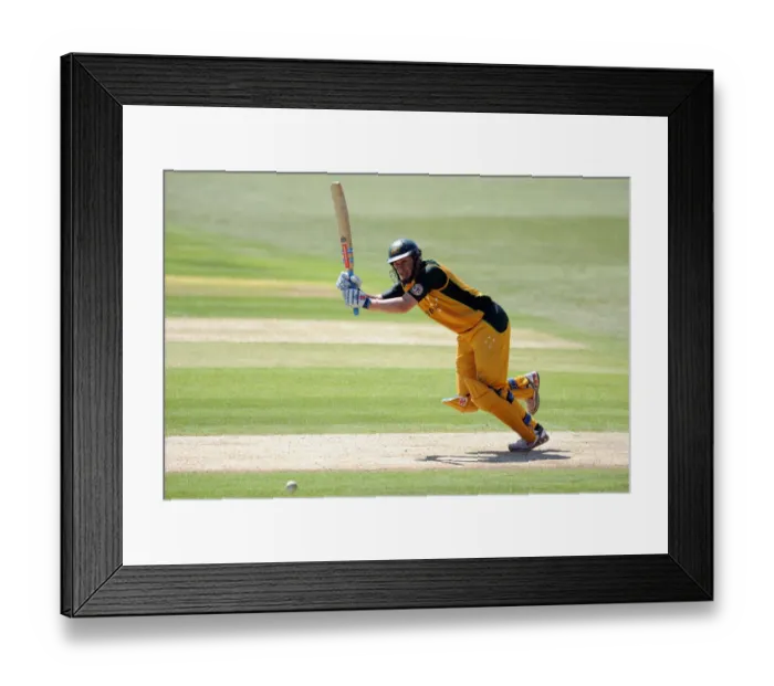 Framed Print : David Hussey Framed Print : David Hussey