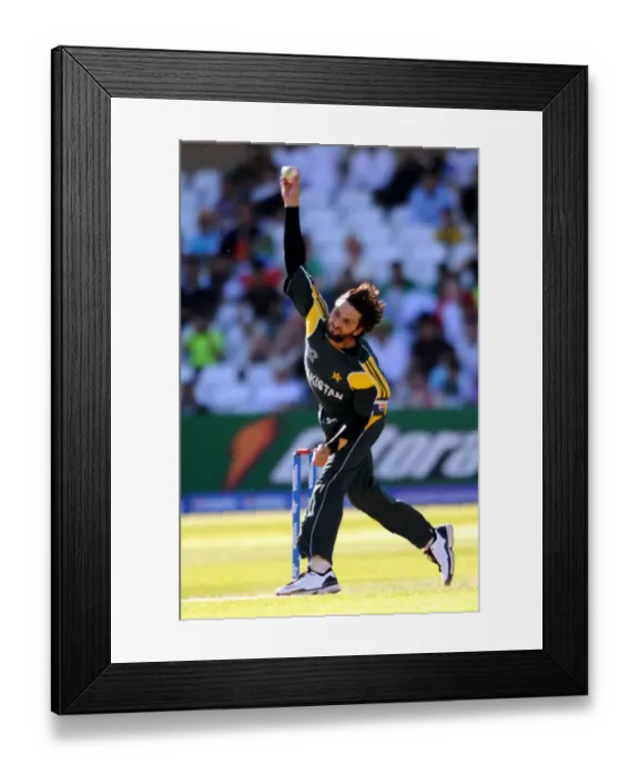 Framed Print : Shahid Malik Framed Print : Shahid Malik