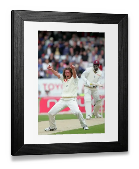 Framed Print : Ryan Sidebottom Celebrates Chris Gayle Wicket Framed Print : Ryan Sidebottom Celebrates Chris Gayle Wicket