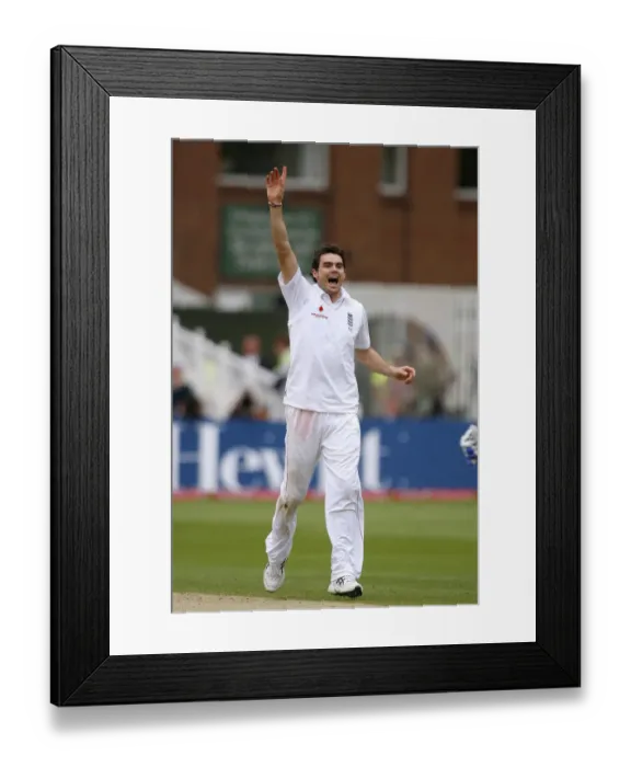 Framed Print : James Anderson Celebrates Wicket Framed Print : James Anderson Celebrates Wicket