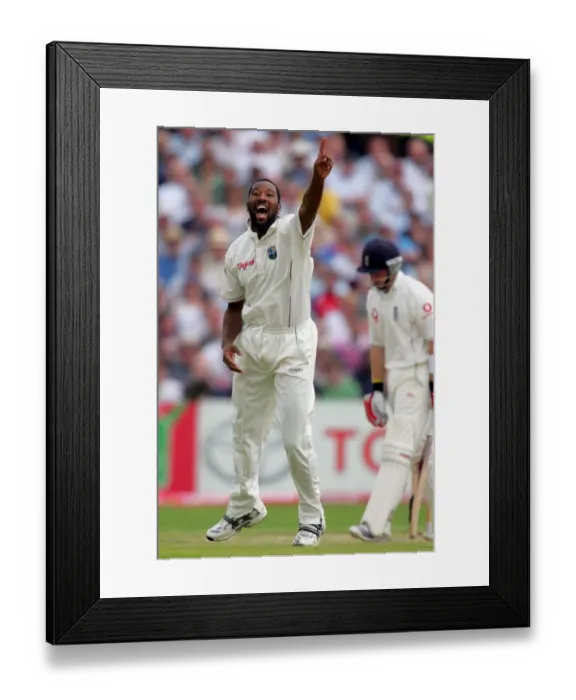 Framed Print : Corey Collymore Celebrates Ian Bell Whicket Framed Print : Corey Collymore Celebrates Ian Bell Whicket