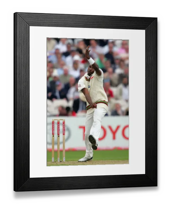Framed Print : Dwayne Bravo Framed Print : Dwayne Bravo