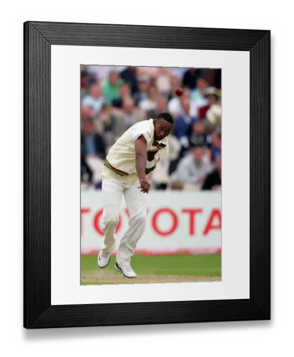 Framed Print : Dwayne Bravo Framed Print : Dwayne Bravo