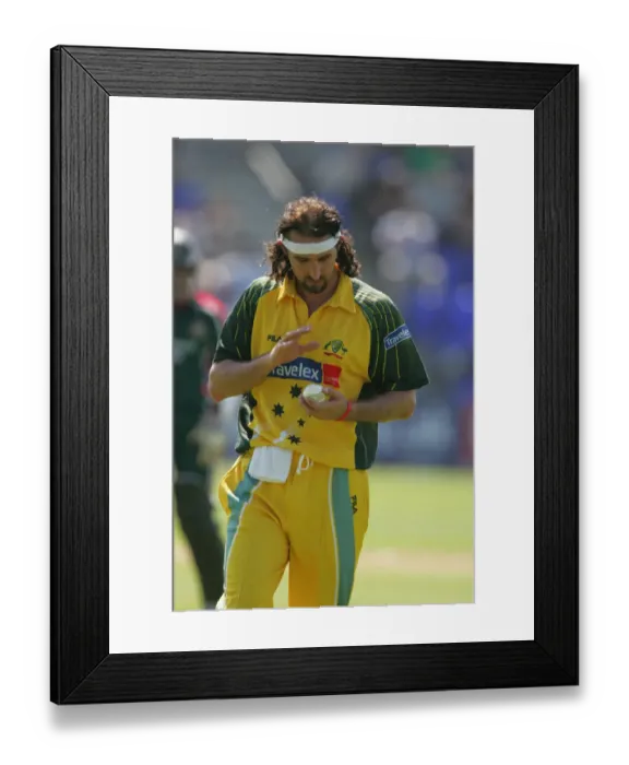 Framed Print : Jason Gillespie Framed Print : Jason Gillespie