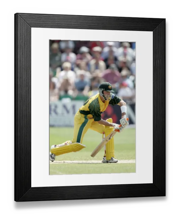 Framed Print : Damien Martyn Framed Print : Damien Martyn