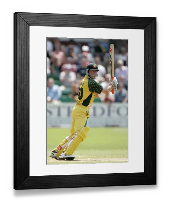 Framed Print : Damien Martyn Framed Print : Damien Martyn
