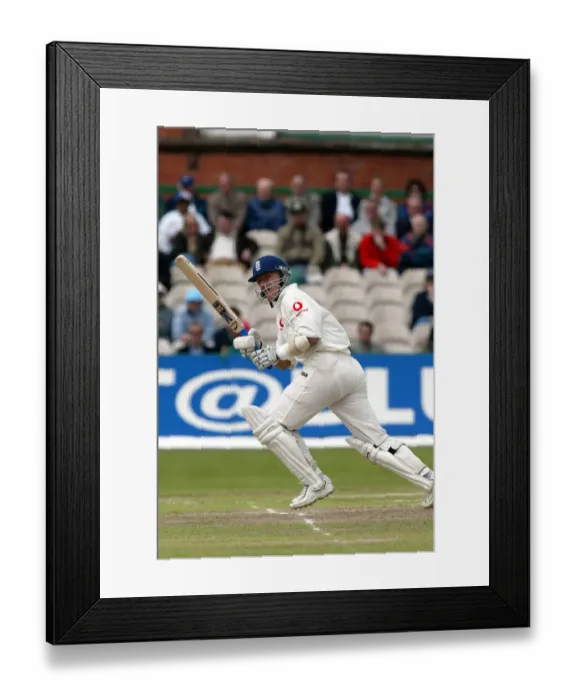 Framed Print : Alec Stewart Framed Print : Alec Stewart