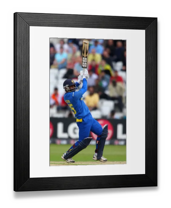 Framed Print : Chamara Silva Framed Print : Chamara Silva