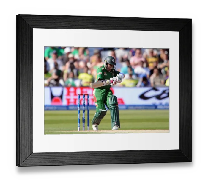 Framed Print : Mushfiqur Rahim Framed Print : Mushfiqur Rahim