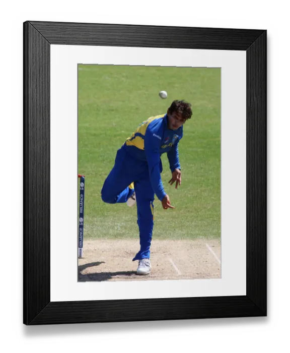 Framed Print : T M Dilshan Framed Print : T M Dilshan